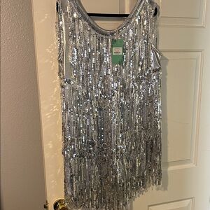 Silver Sequin Fringe Dress